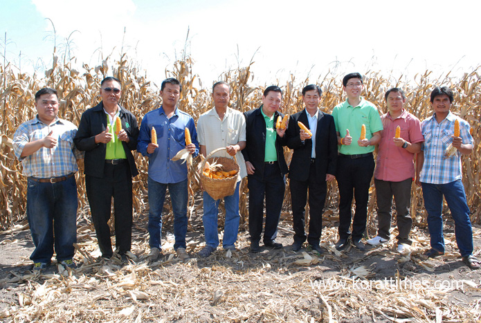 เกษตรกรปลูกข้าวโพดมีเฮ ส.ป.ก.จับมือ ซีพี หนุนเพิ่มผลผลิตมุ่งลดต้นทุน นำร่องโคราช